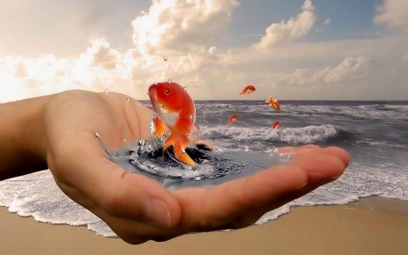 Почему туризм будет всегда привлекать людей. only travel