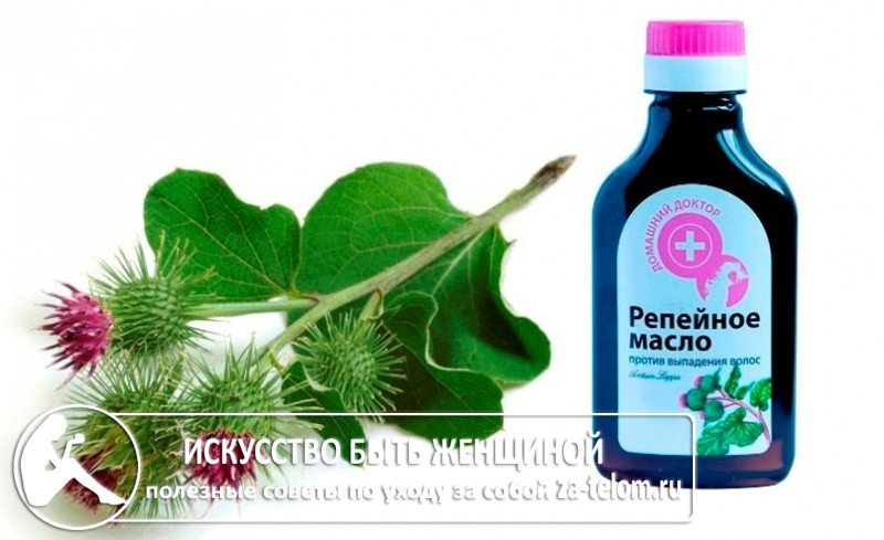 Как правильно сделать маску для волос из репейного масла. Burdock oil