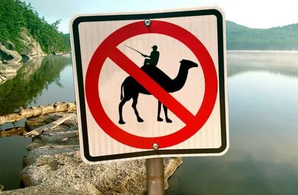 Законы стран Европы и Северной Америки for the tourist modern laws