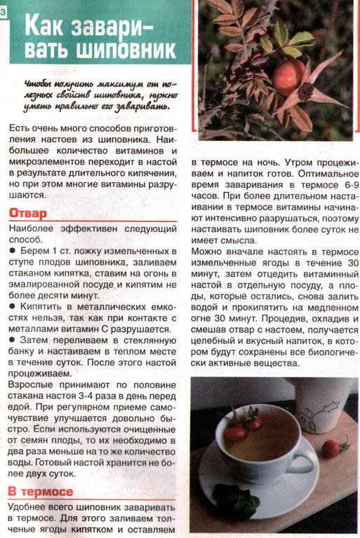 От каких заболеваний лечит шиповник. Dogrose diseases