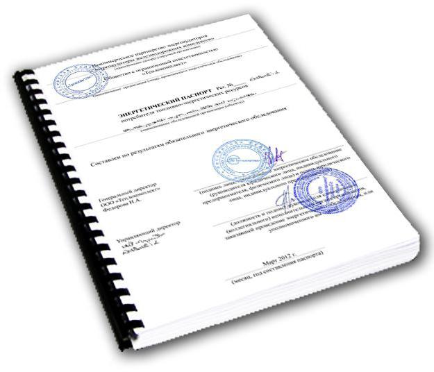 logo Energy passport