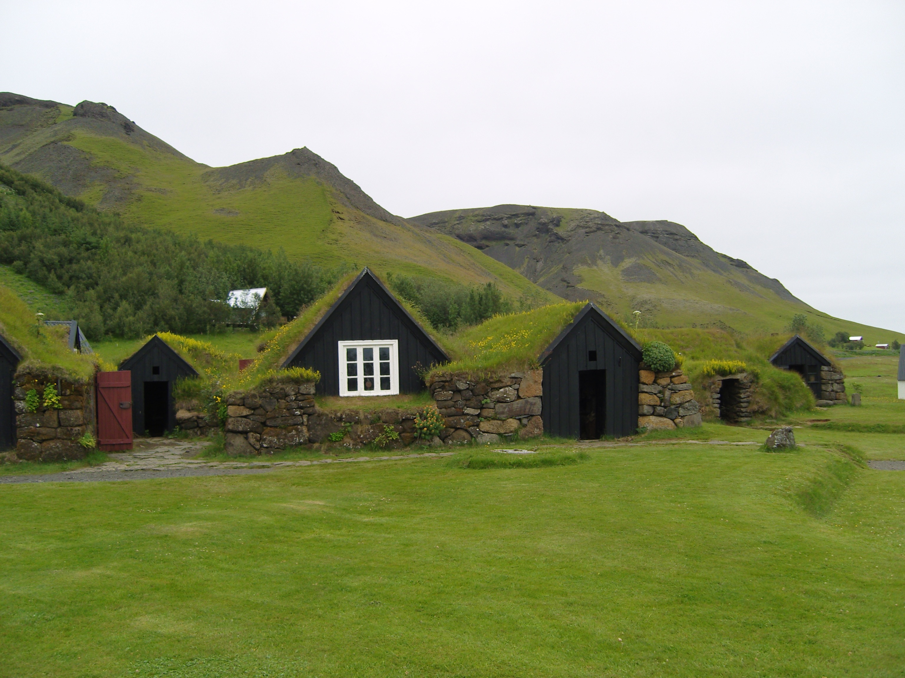 Что можно посмотреть в Исландии. meadows of Iceland