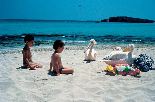 Условия проживания и отдыха на Кипре clean beaches of the island of Cyprus