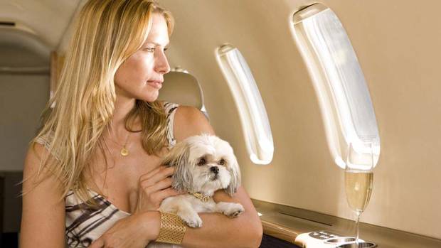 logo Travel with Animals
