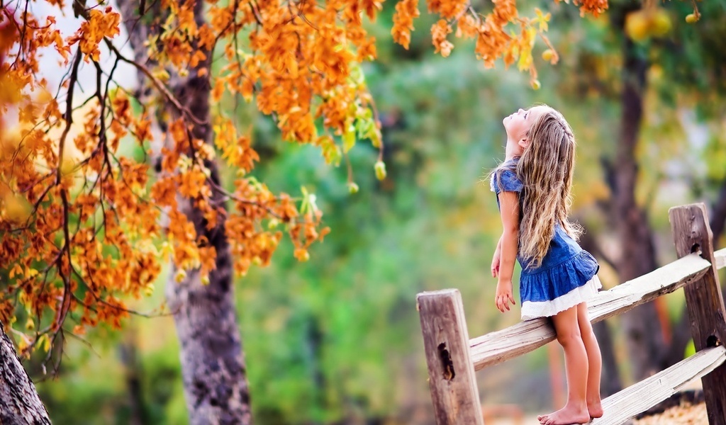 Что лучше осень или лето. logo autumn