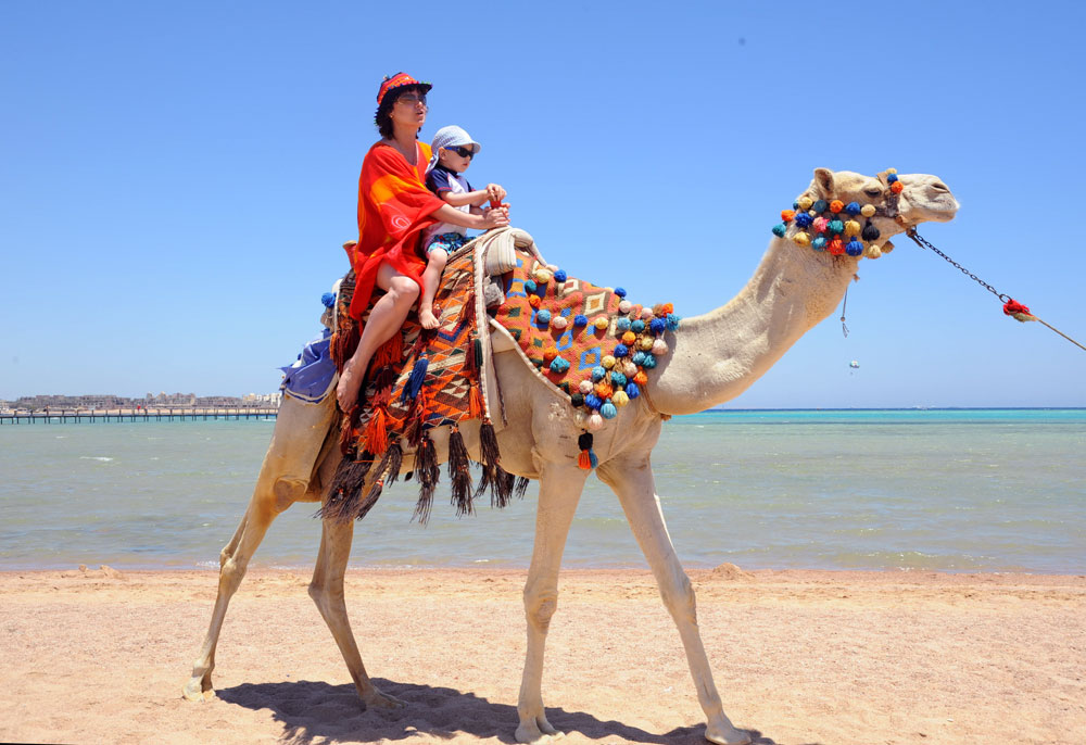 Что можно посмотреть как отдохнуть в Египте relax in Egypt