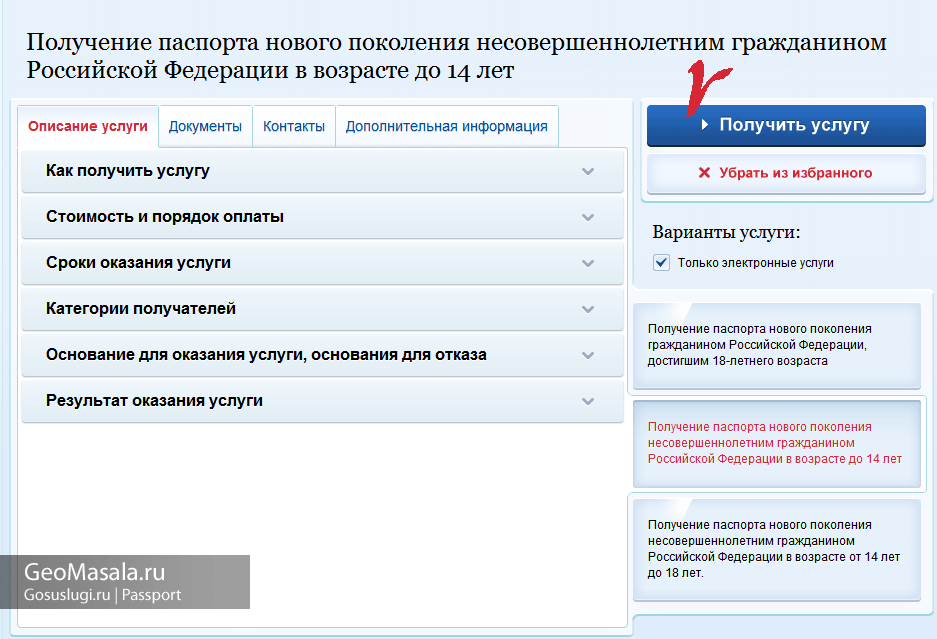 Как подать заявление на загранпаспорт через интернет. passport for a child