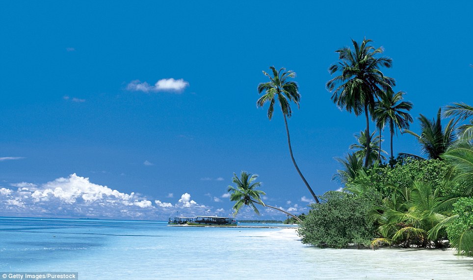 logo Maldives