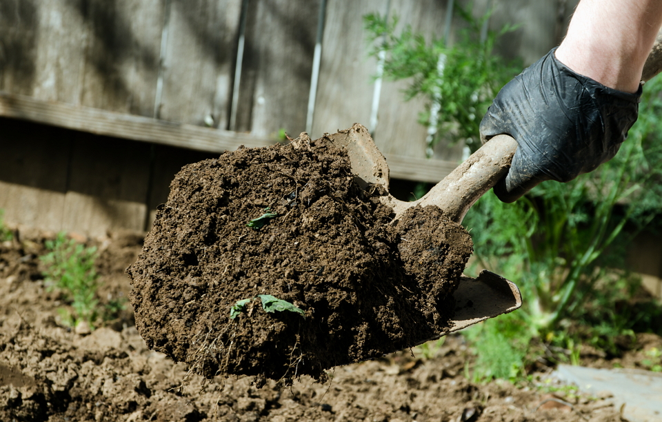 Способы обработки и удобрения земельного участка. Preparation of the garden plot