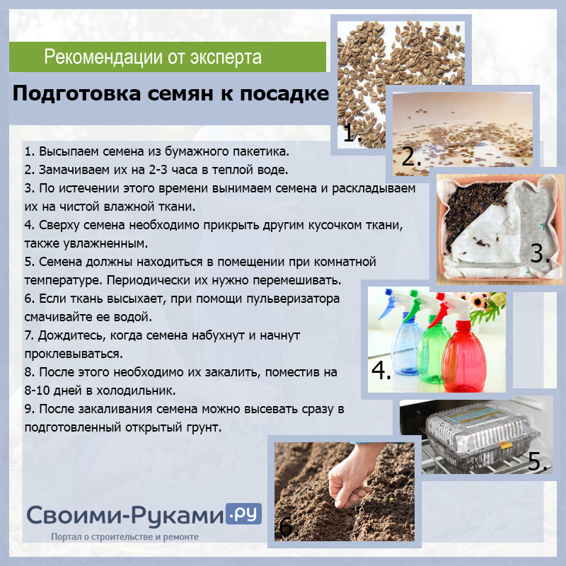 Сортировка и калибровка семян перед посевом. seeds for sowing