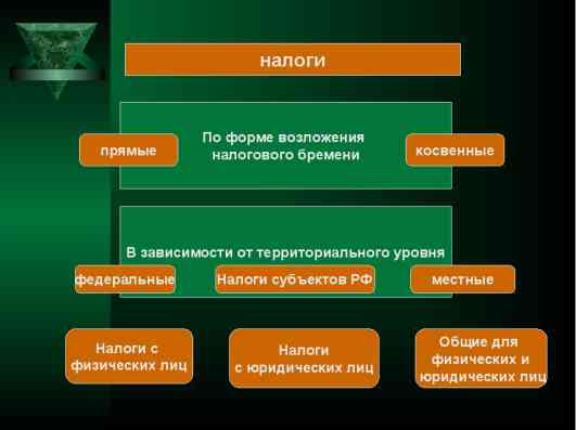 Какие налоги бывают в РФ. Taxes indirect