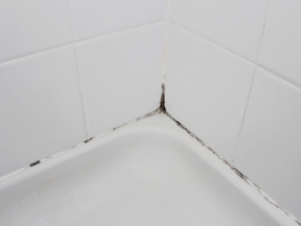 Методы устранения плесени в домашних условиях. We clean the mold