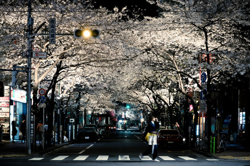 Что интересное можно посмотреть в Японии. visit Japan