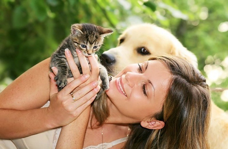 logo pets