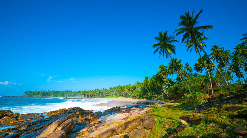 Шри-Ланка что можно посмотреть. trip Sri Lanka